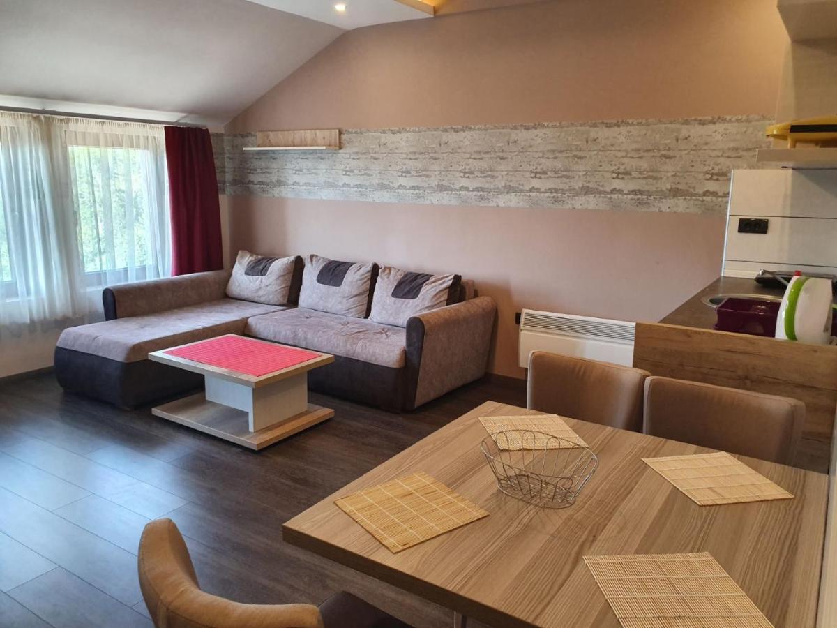 Apartman Vera Kopaonik Buitenkant foto