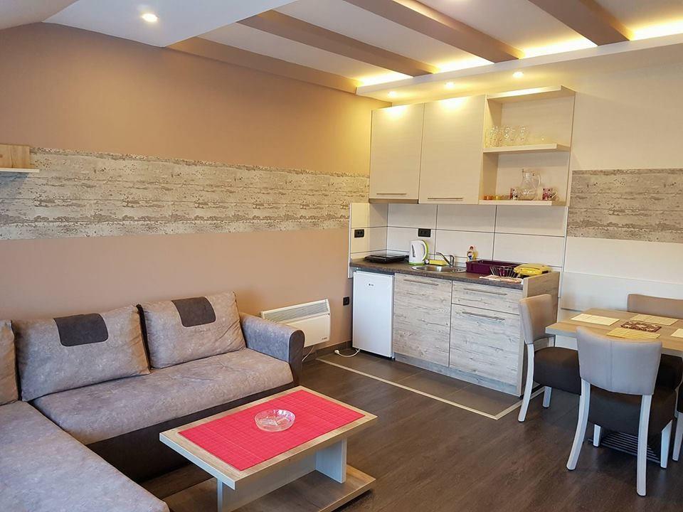 Apartman Vera Kopaonik Buitenkant foto